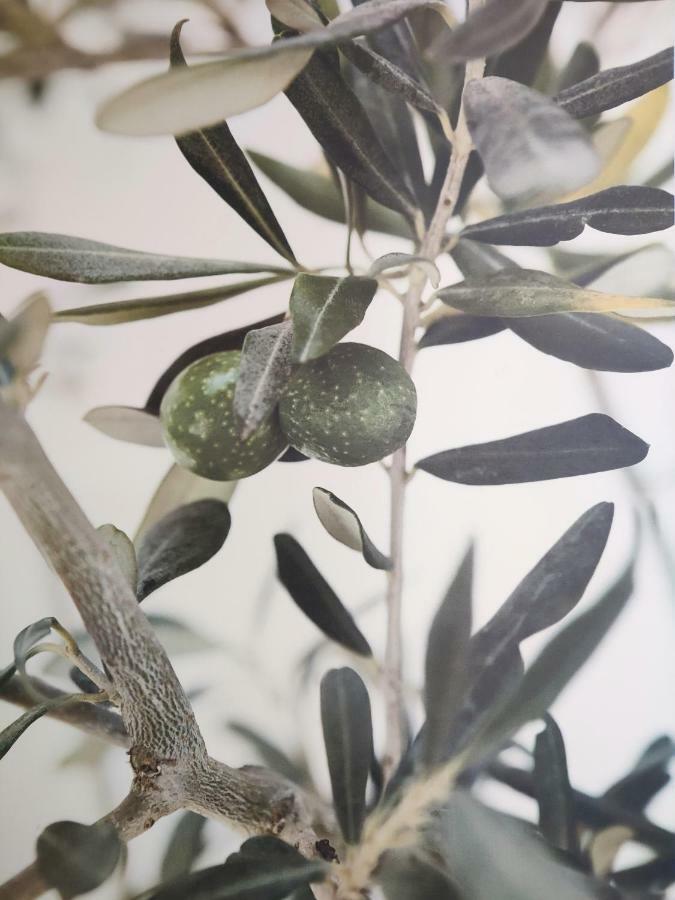 Greca Mare-Traditional Greek Boutique Apt. プサコウディア エクステリア 写真