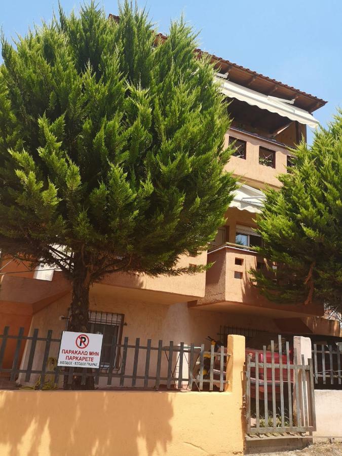 Greca Mare-Traditional Greek Boutique Apt. プサコウディア エクステリア 写真